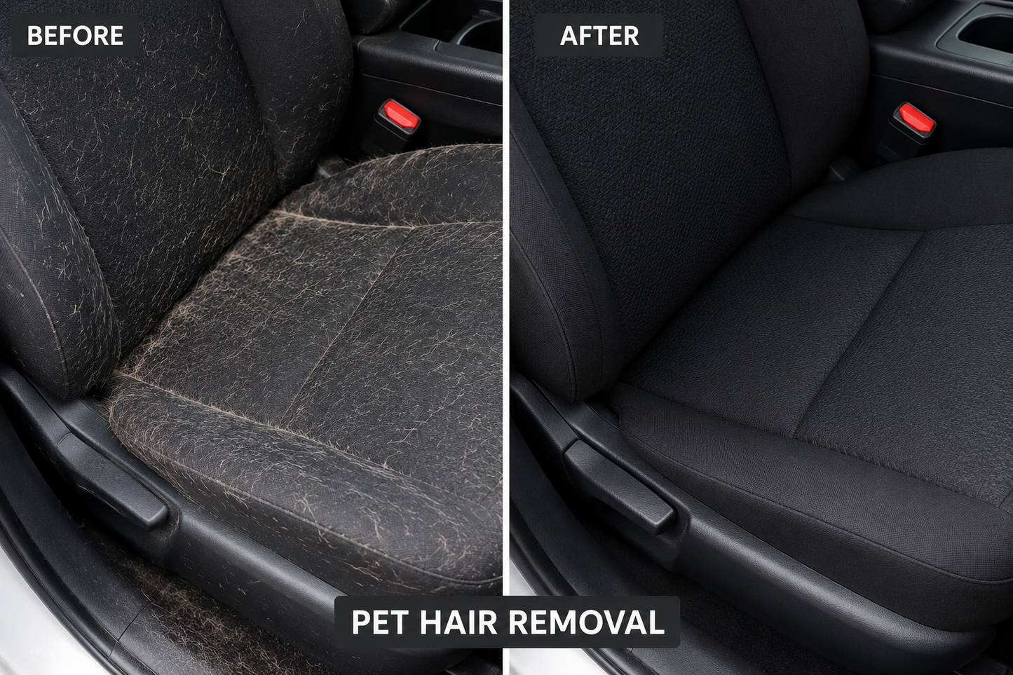 Pet Hair Removel